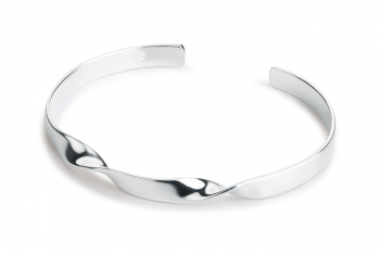 Expensive Crush Bracelet - silver, matte