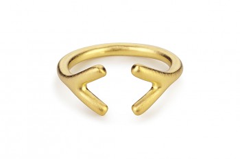 WAI Ring YY - Strieborný prsteň, pozlátený, mat