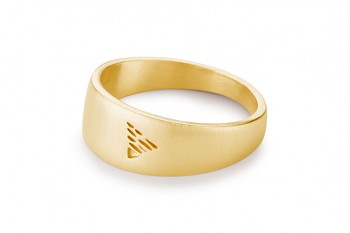 Element EARTH - silver ring gold plated, matte