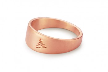 Element VZDUCH - stříbrný prsten pozlacený růžovým zlatem, mat