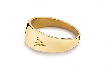 Element FIRE - silver gold plated ring, glossy