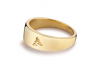 Element AIR - silver ring gold plated, glossy