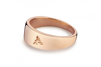 Element AIR - silver rose gold plated ring, glossy