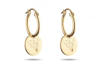 Element EARTH Earrings - gold plated silver hoops, matte